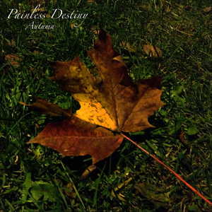 国产丝袜视频一区二区
